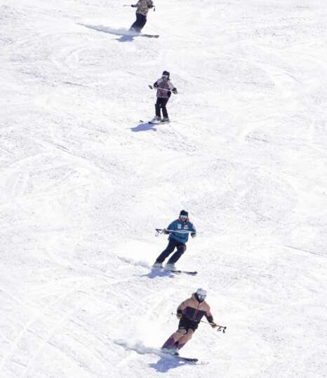 Nivel 1 Polivalente Ski – Zona Sur (Curso Completo)