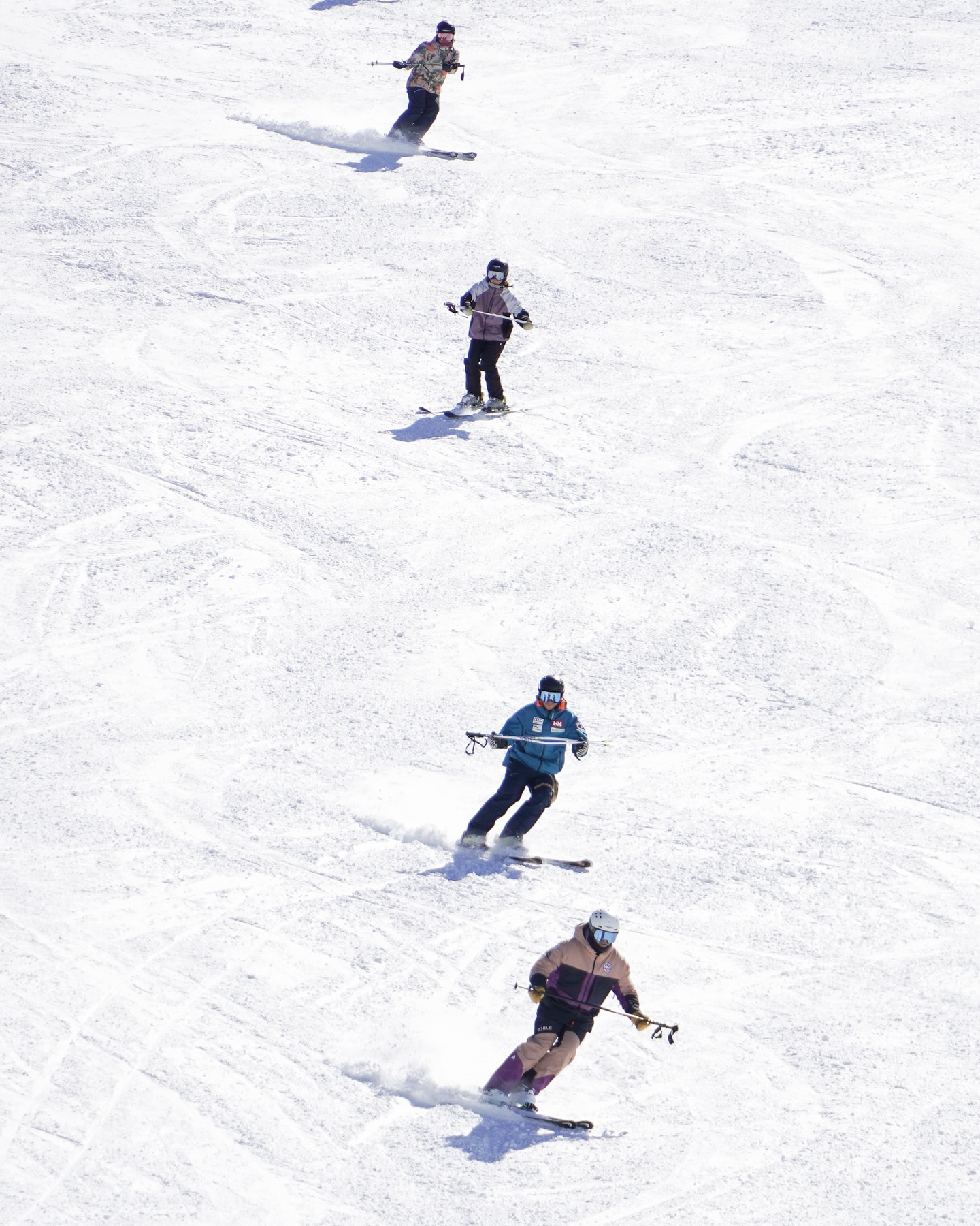 Nivel 1 Polivalente Ski – Zona Sur (Curso Completo)
